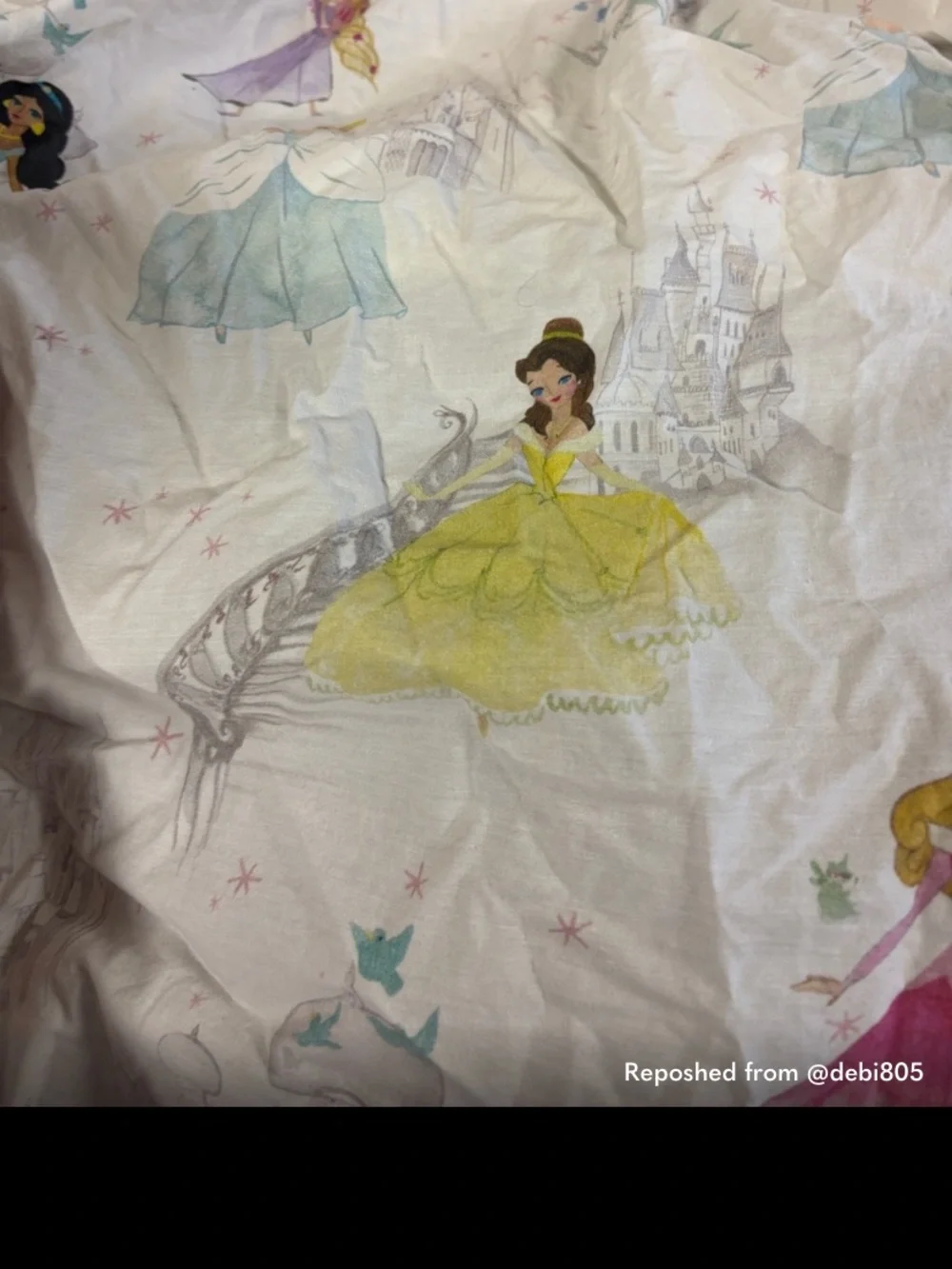Pottery Barn Kids Princess Print Fitted Sheet and 1 Pillow Case